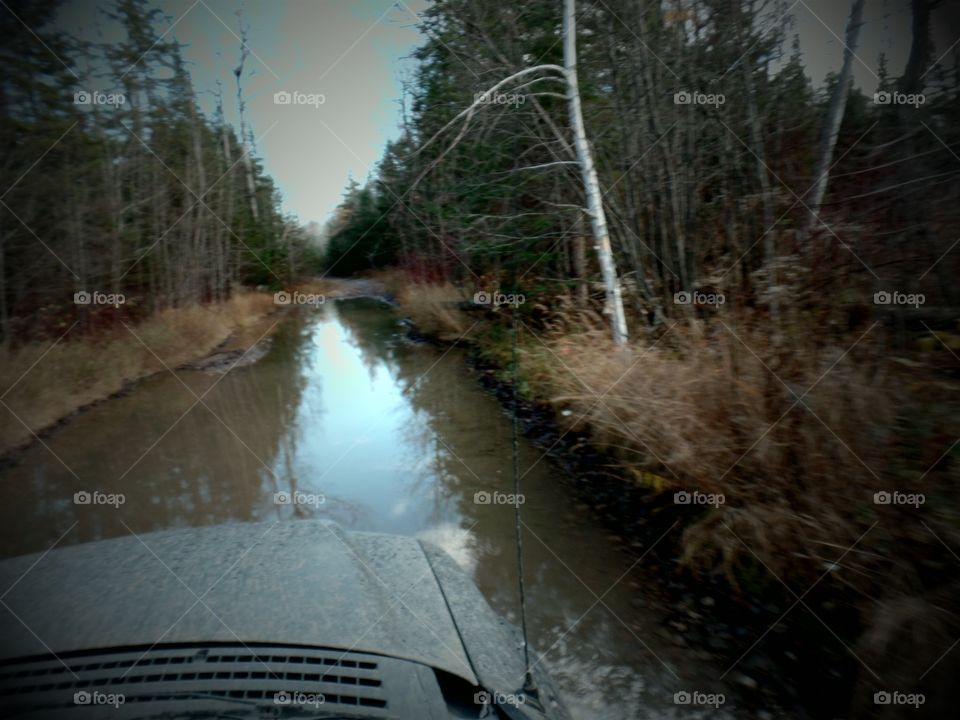 Drummond Island, Michigan 