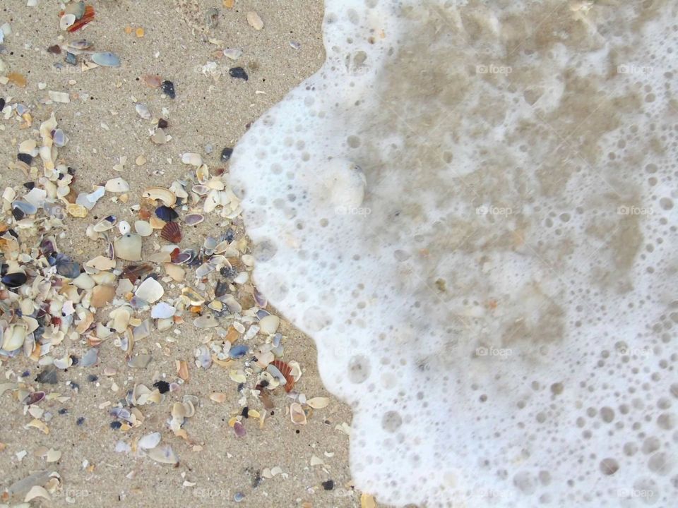 Ocean waves foaming up to wash a pile of tiny shells. 