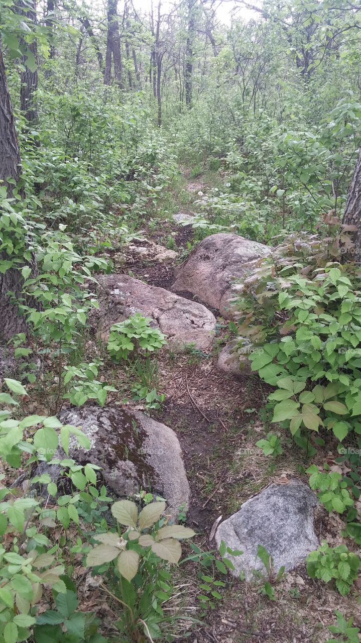 rocky trail