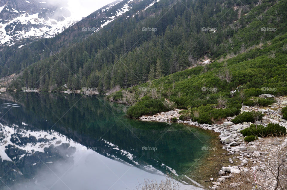 Reflection of forest on lake