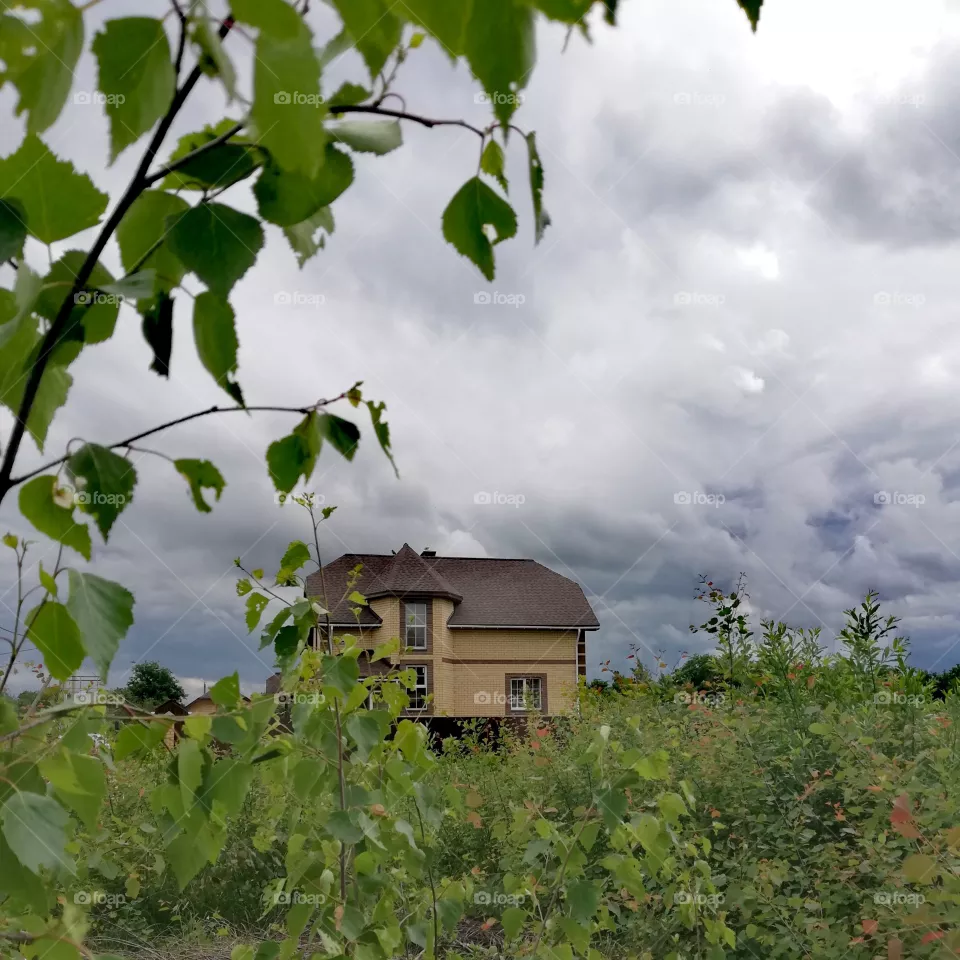 House