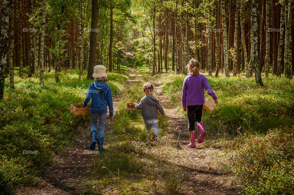 Children in forest.
