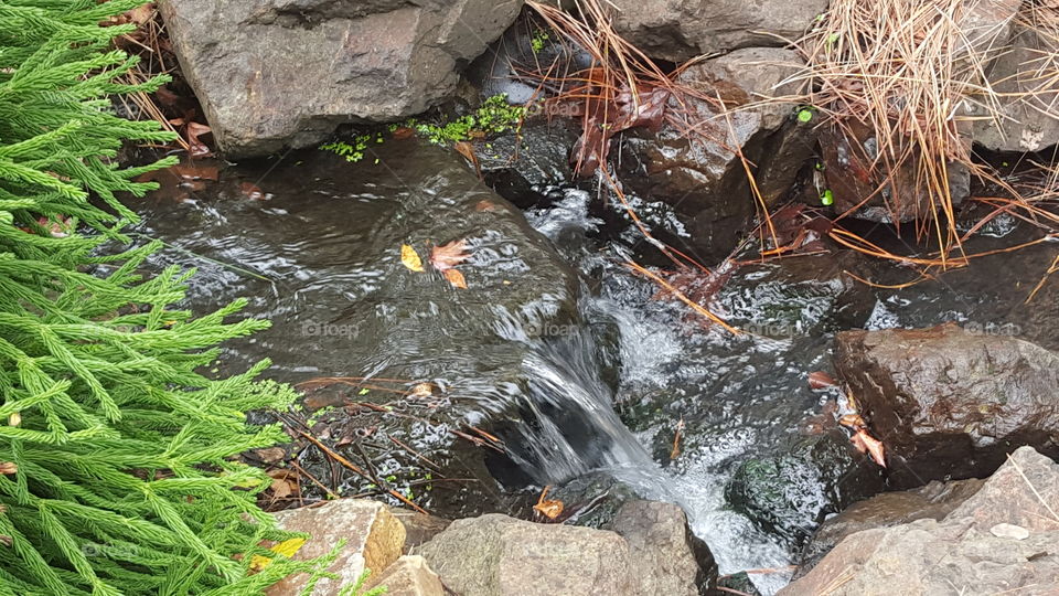 stream in garden