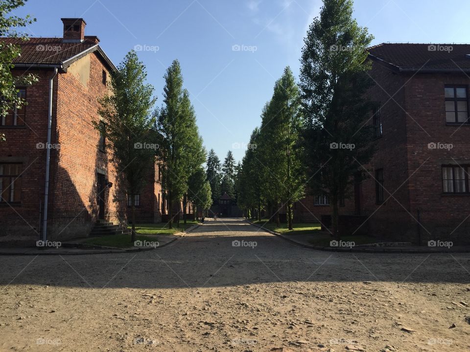 Main alley in Oswiecim concentration camp