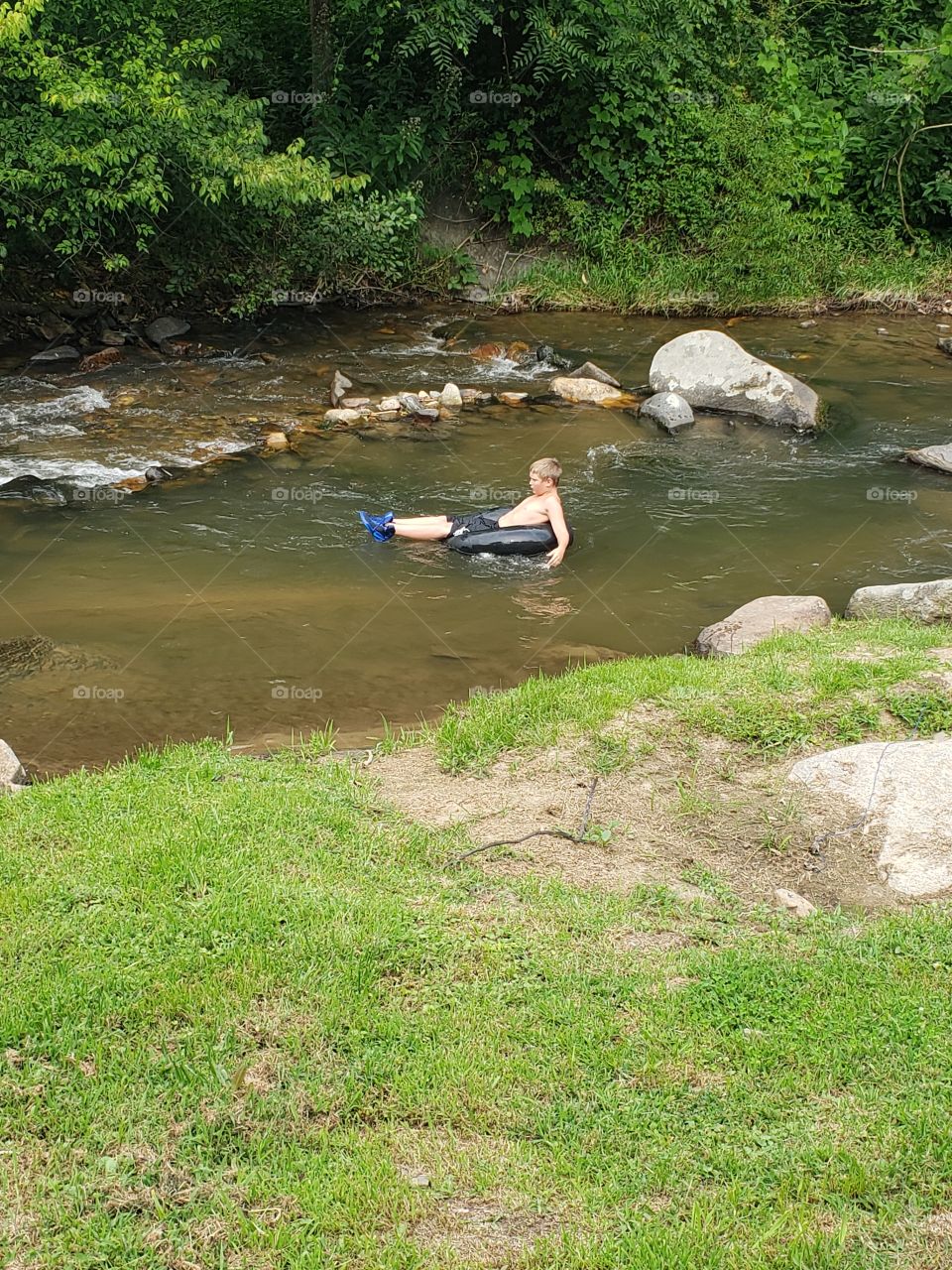 Wading in the creek