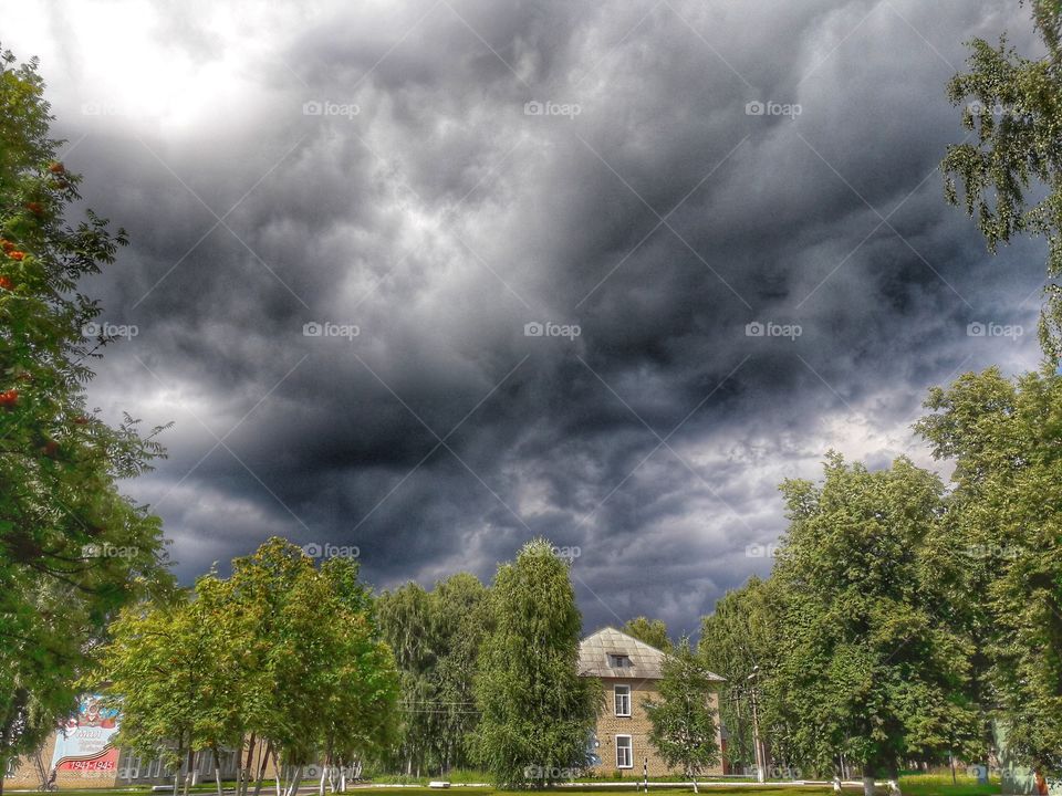 nature flower botany summer spring greens wild clouds sky
