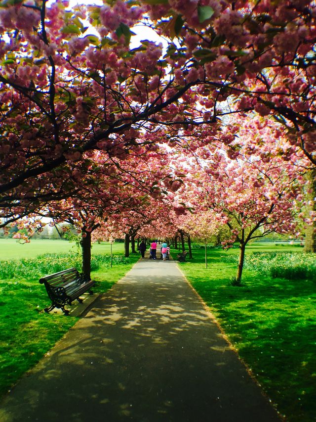 Spring in Greenwich 