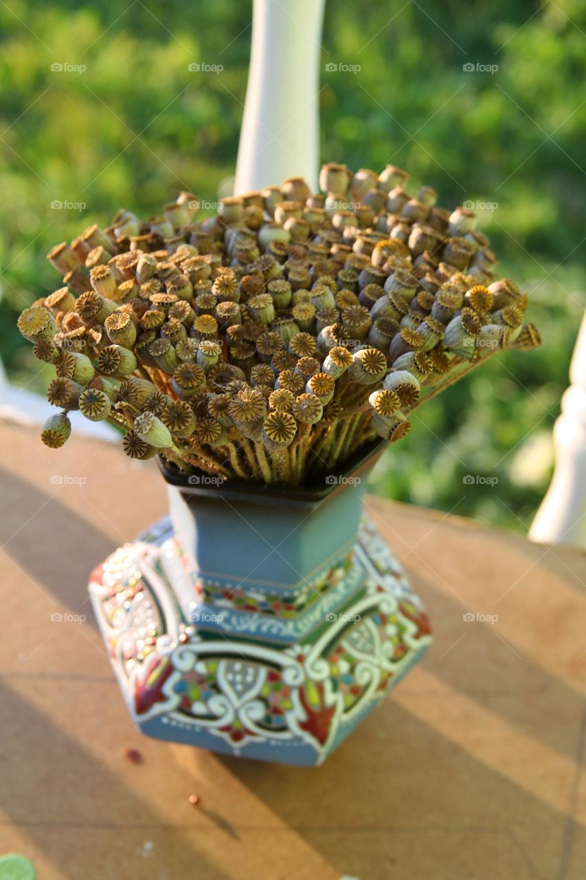 jug with dried poppy flowers