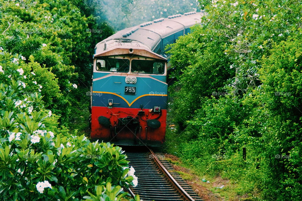 Traditional Train!❤️