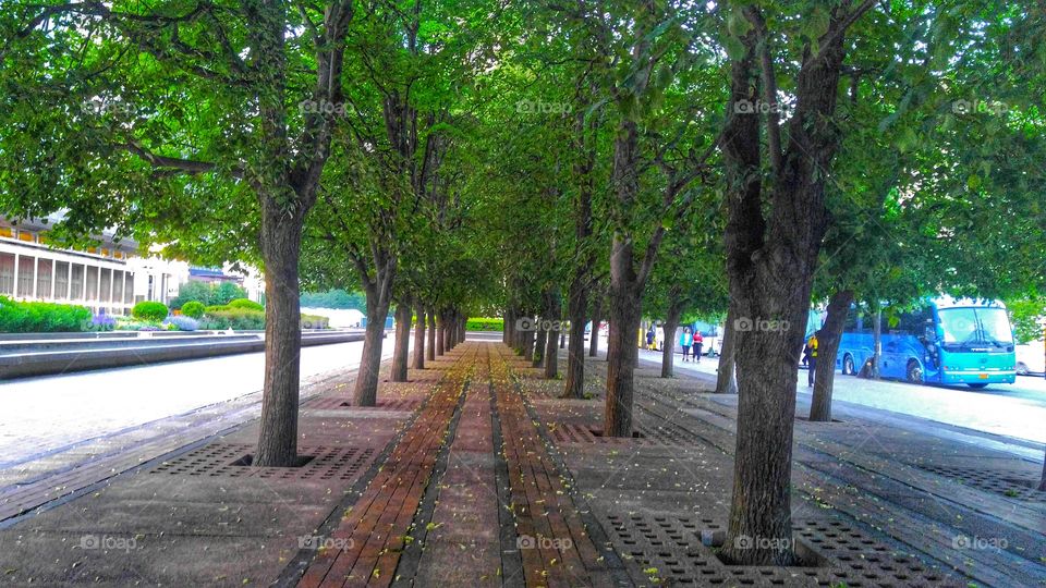 randomly walking about.