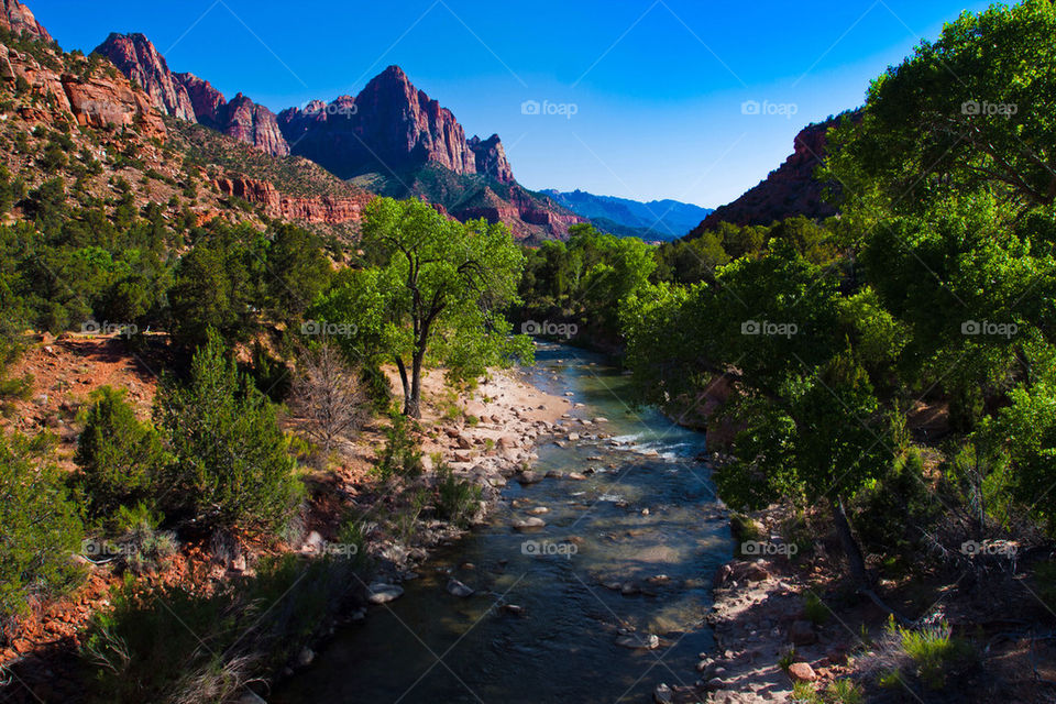 Landscape in Zion national park