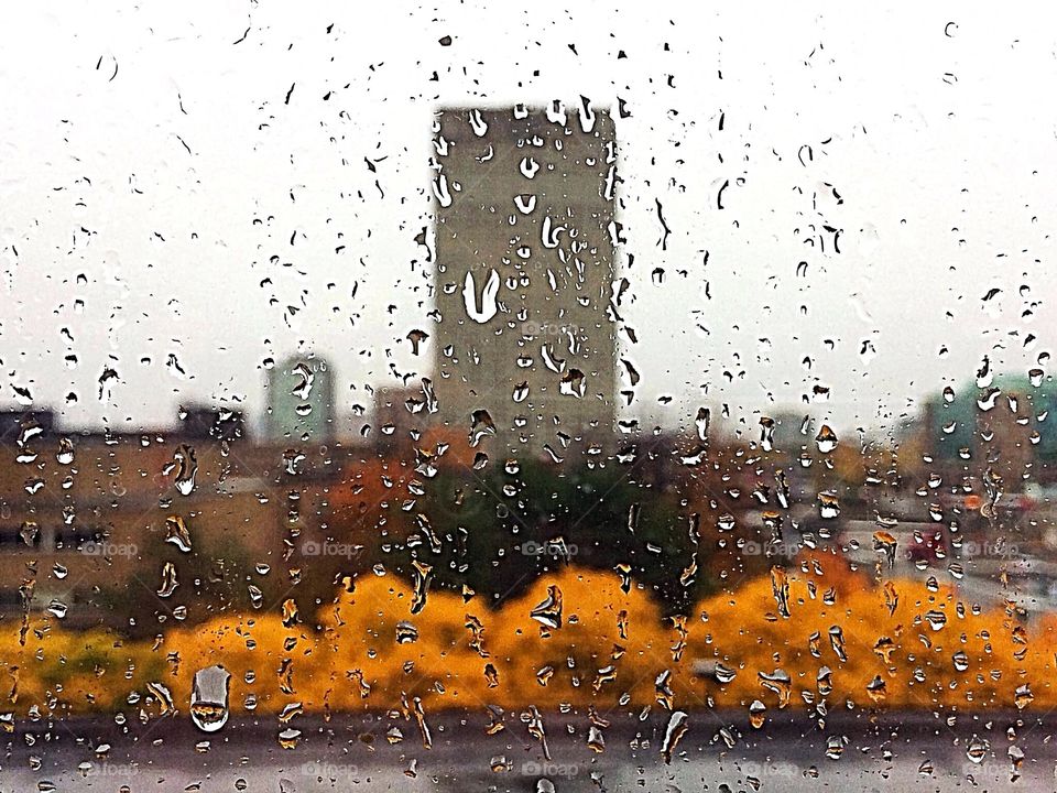Rain drops on window
Autumn background 