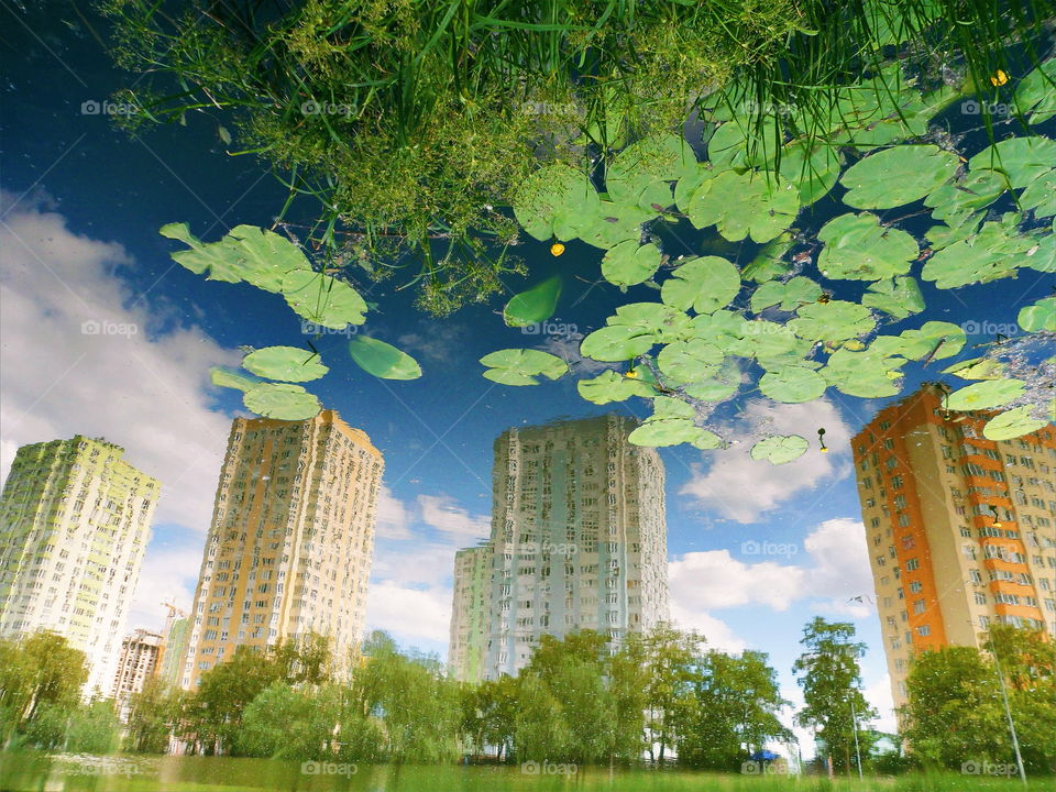 mirror image of houses in the lake of the park of the city of Kiev