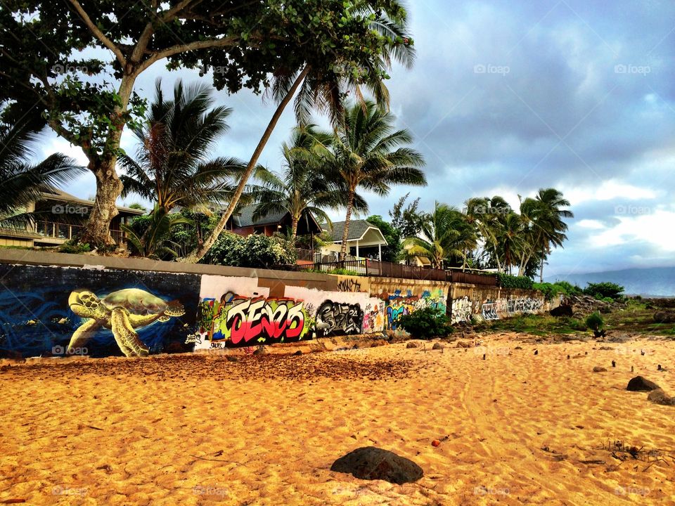 The calm before the storm