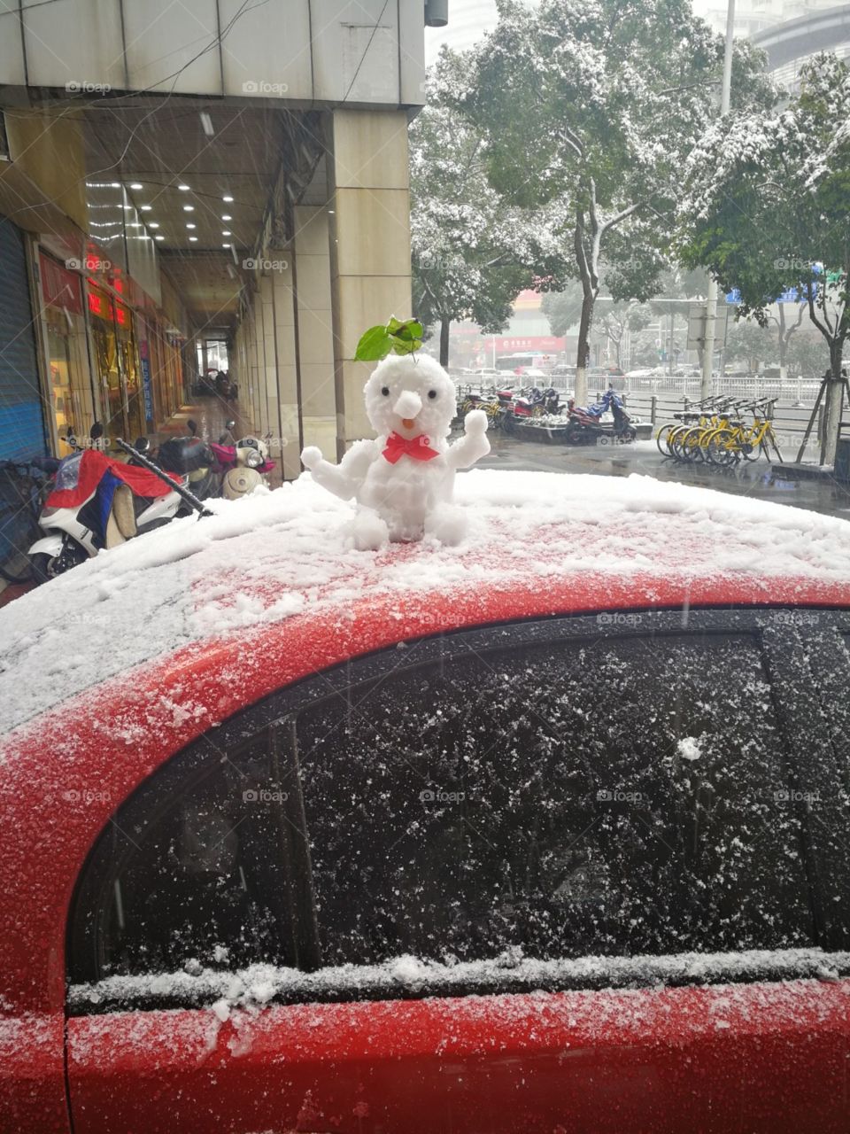 Snow, Vehicle, Winter, No Person, Car