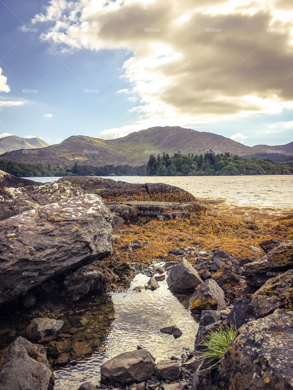 Coastline with mountains in the background. Ring of Beara, Kerry, Ireland. 