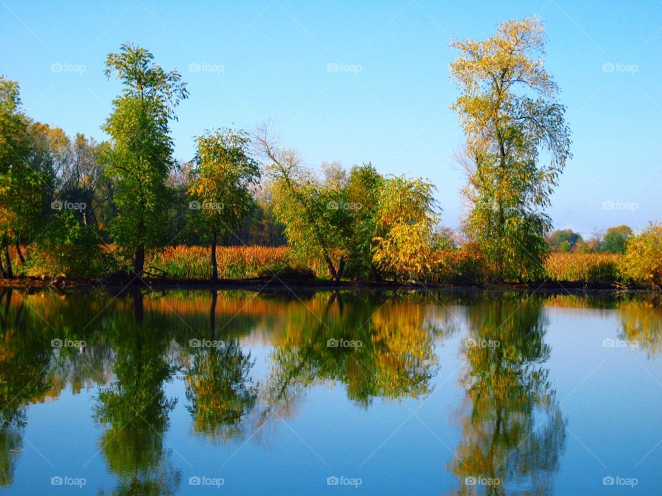 Autumn Reflections 2