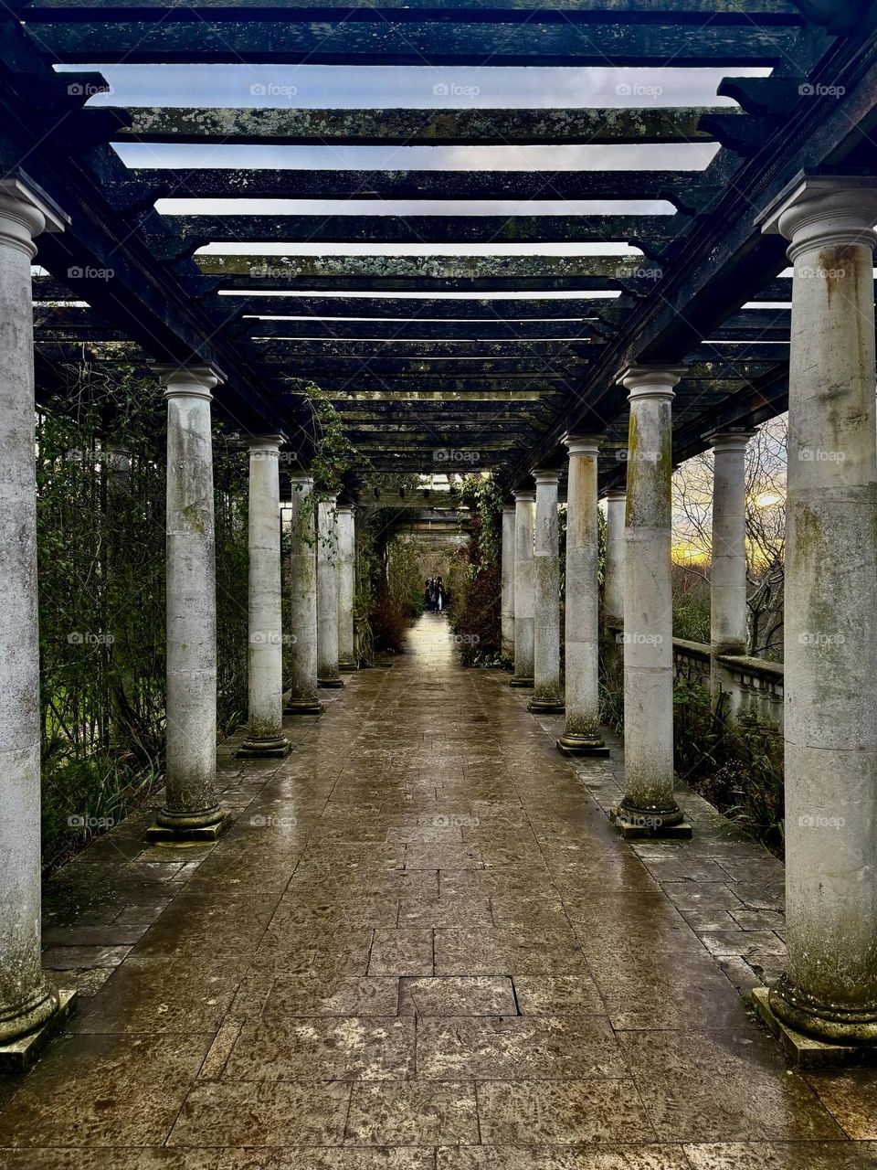 Column pathway