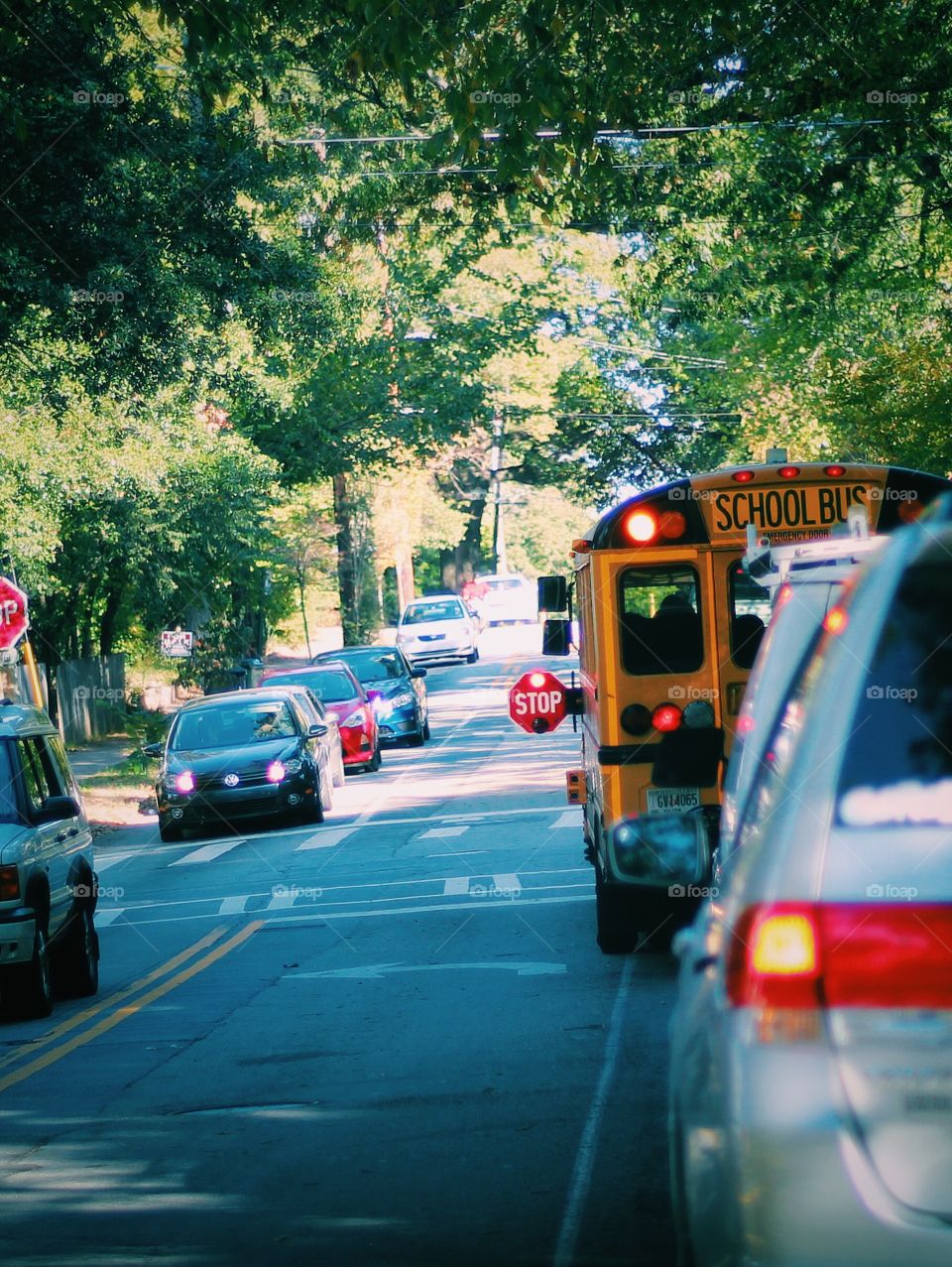 School bus commuting in afternoon dropping children in community while the bus stops and all traffic obey the rule stopping on both sides and giving safe passage to children 