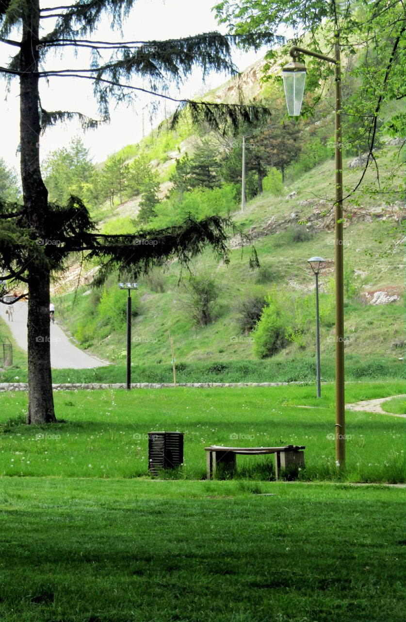 Park in nature, fully beautiful green
