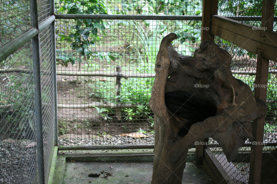 Zoo