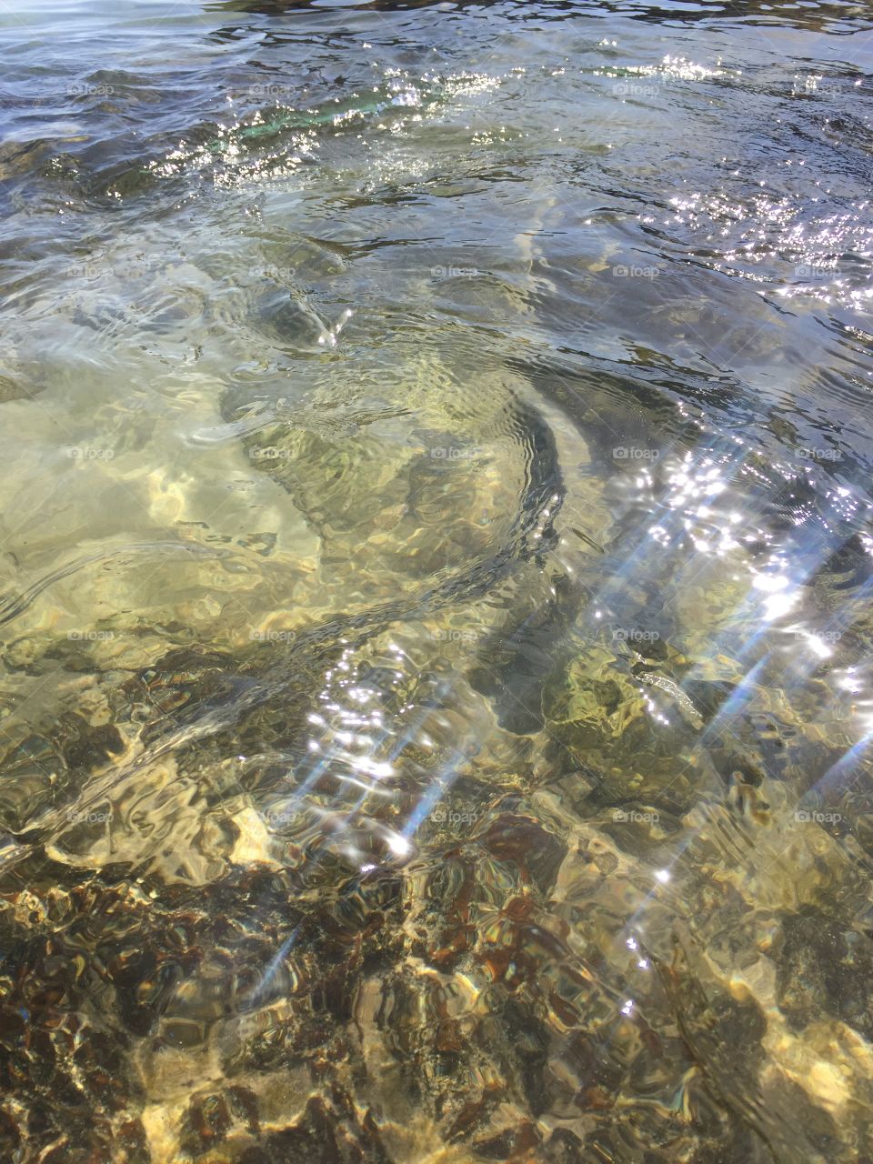 Rays of sun in the super clear water 