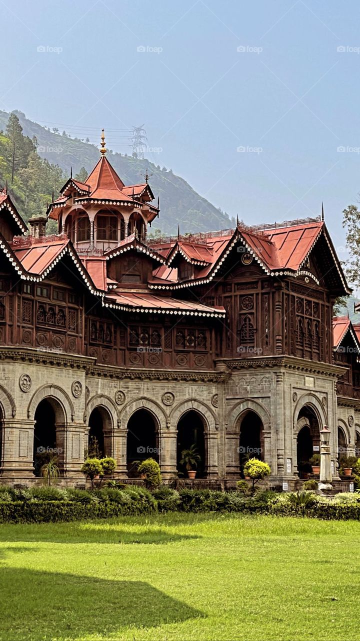 The freedom in nature.