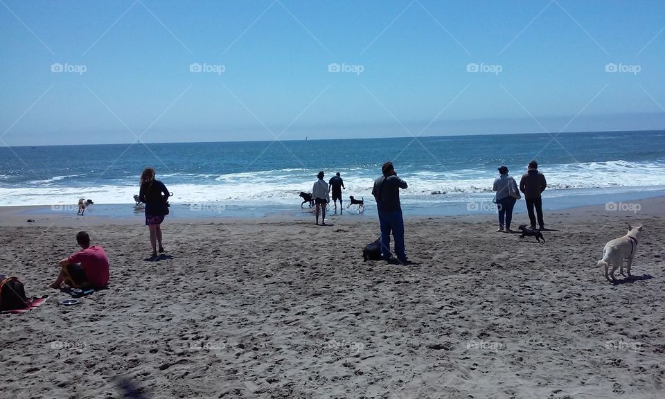 Beach, Water, Sea, Sand, Ocean