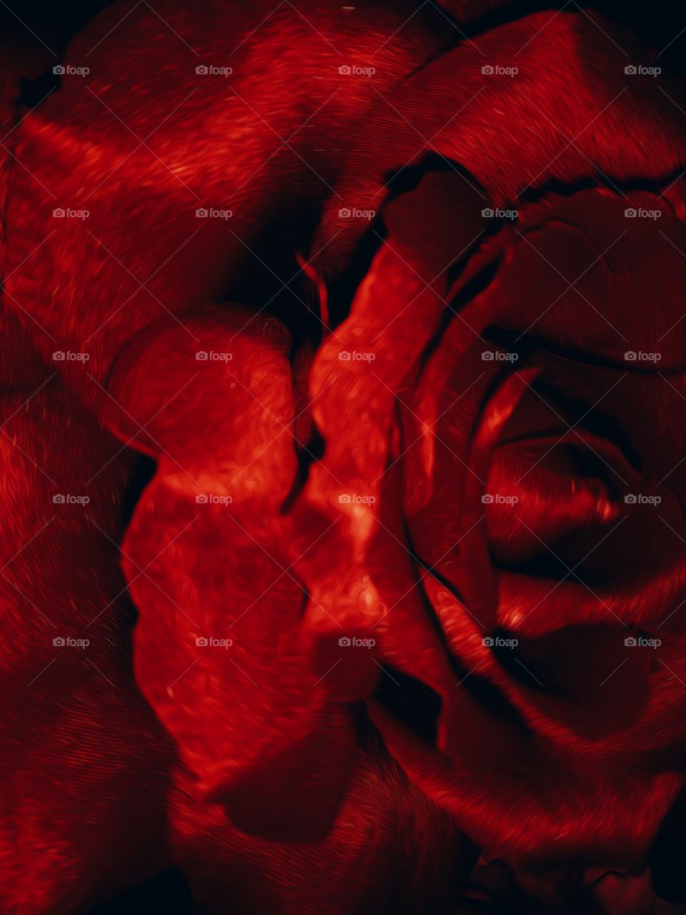 big red rose blur
