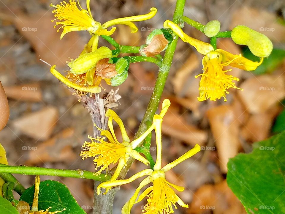 If I could choose between loving you and breathing
I would use my last breath to say 
I love you 💜🤍💜