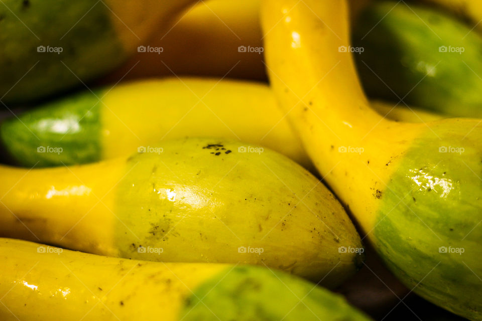 Zephyr Squash