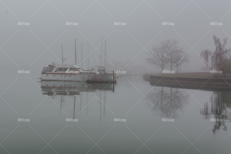 Boats, trees and horizon disappearing into the fog