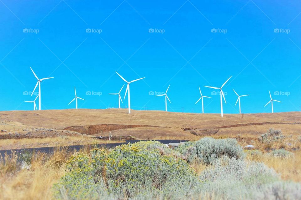 wind power233