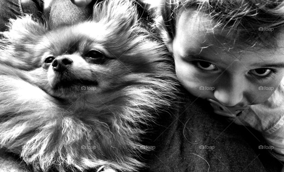 Close-up of boy with puppy