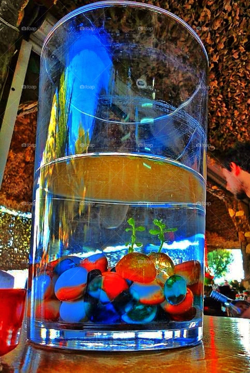 Beach aquarium