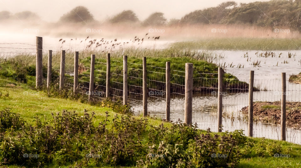 Early morning misty, pastoral scene near Winchelsea in the UK. 