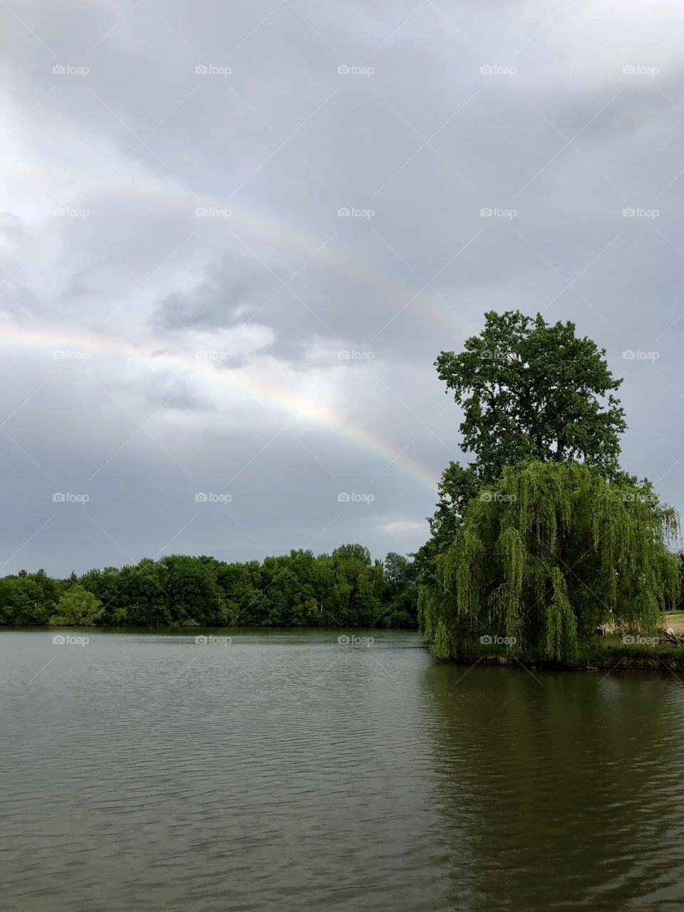 Rainbows Over Holiday Lake, rainbow, rainbows, double, double rainbow, lake, Holiday Lake, lake, willow, tree, trees, water, clouds, storm, sky, weather