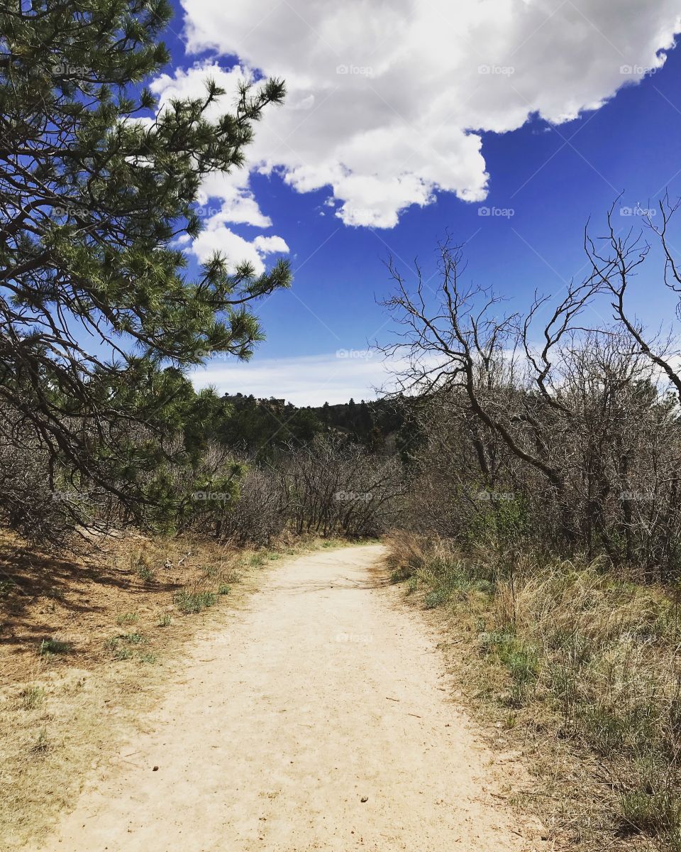 Hiking through Palmer park in Colorado Springs on. Spring day. Beautiful plant life and rock formations