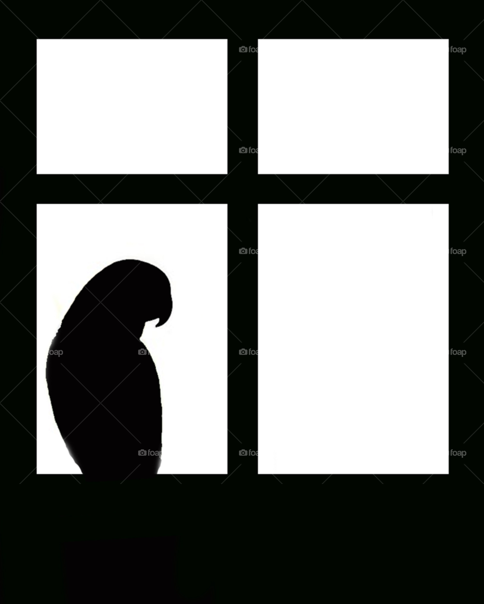 art window bird silhouette by lightanddrawing