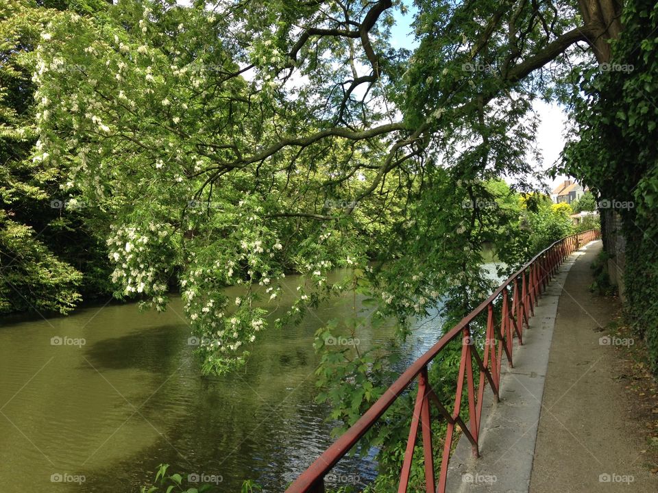 Spring in Ghent 