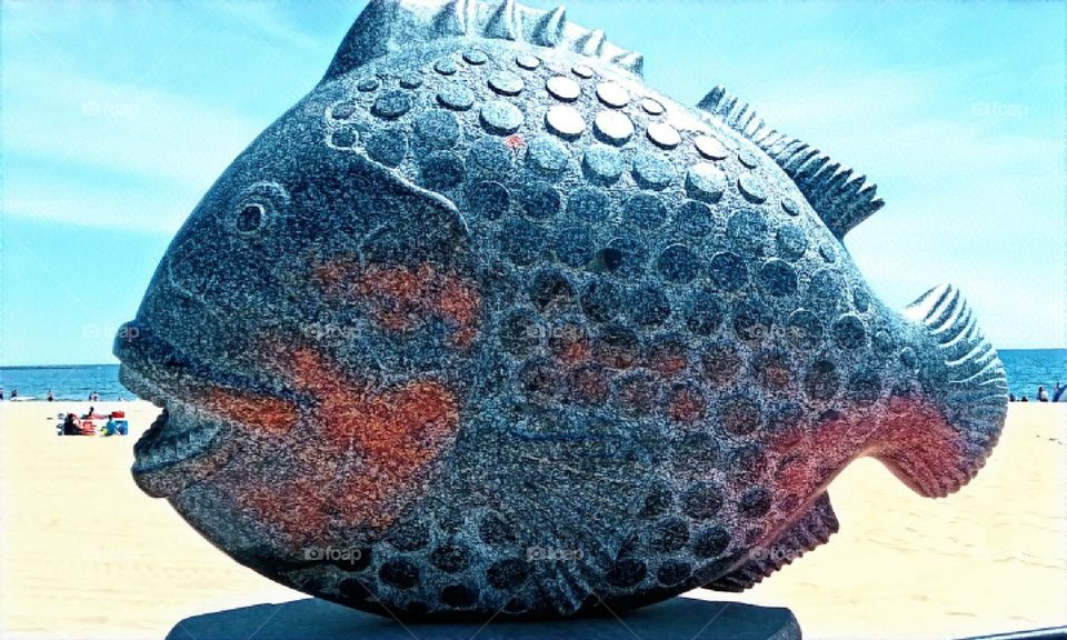 fish on Hampton Beach New Hampshire