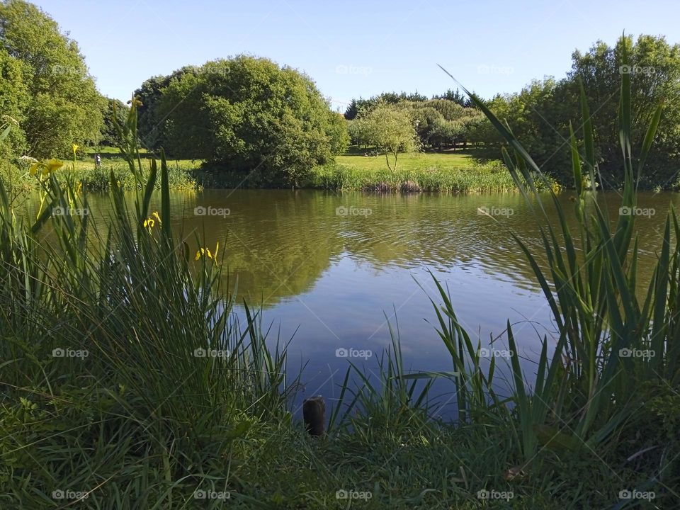 landscape and lake