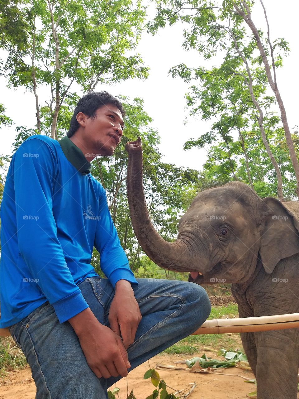 relationship between elephant and mahout.
