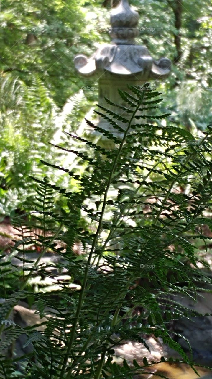 fern and statue