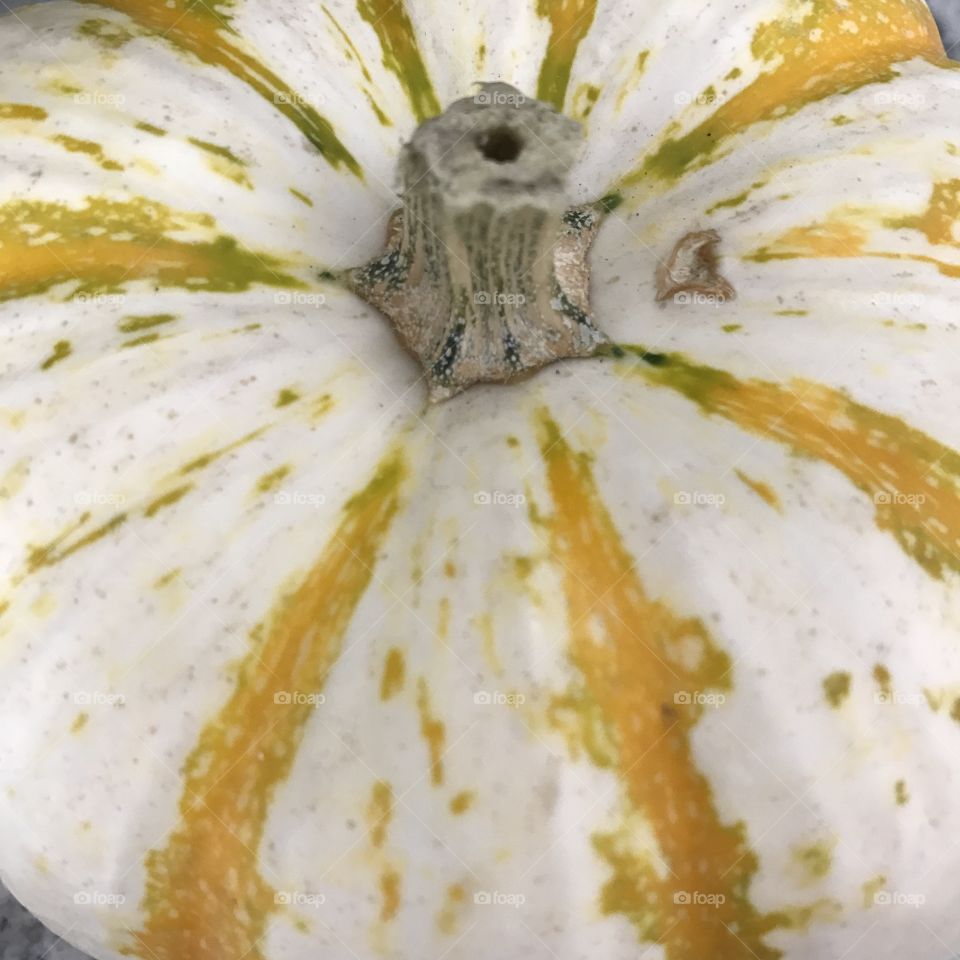 Pumpkin time 