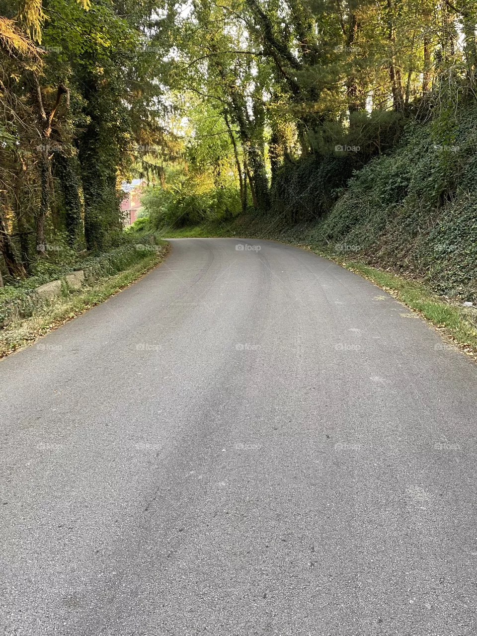 The road home 