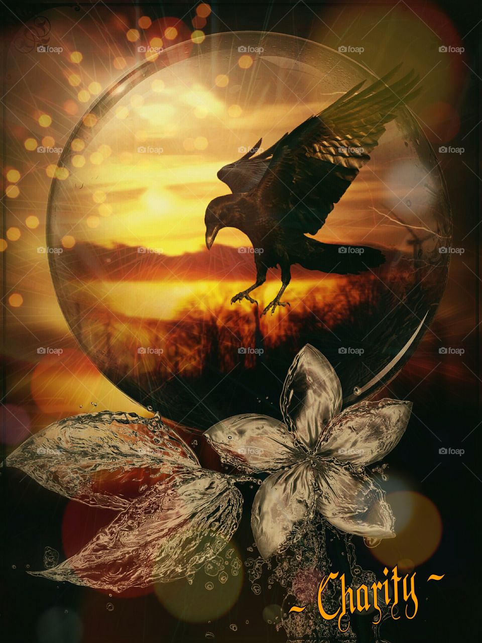 digital art creation of bird and sunset