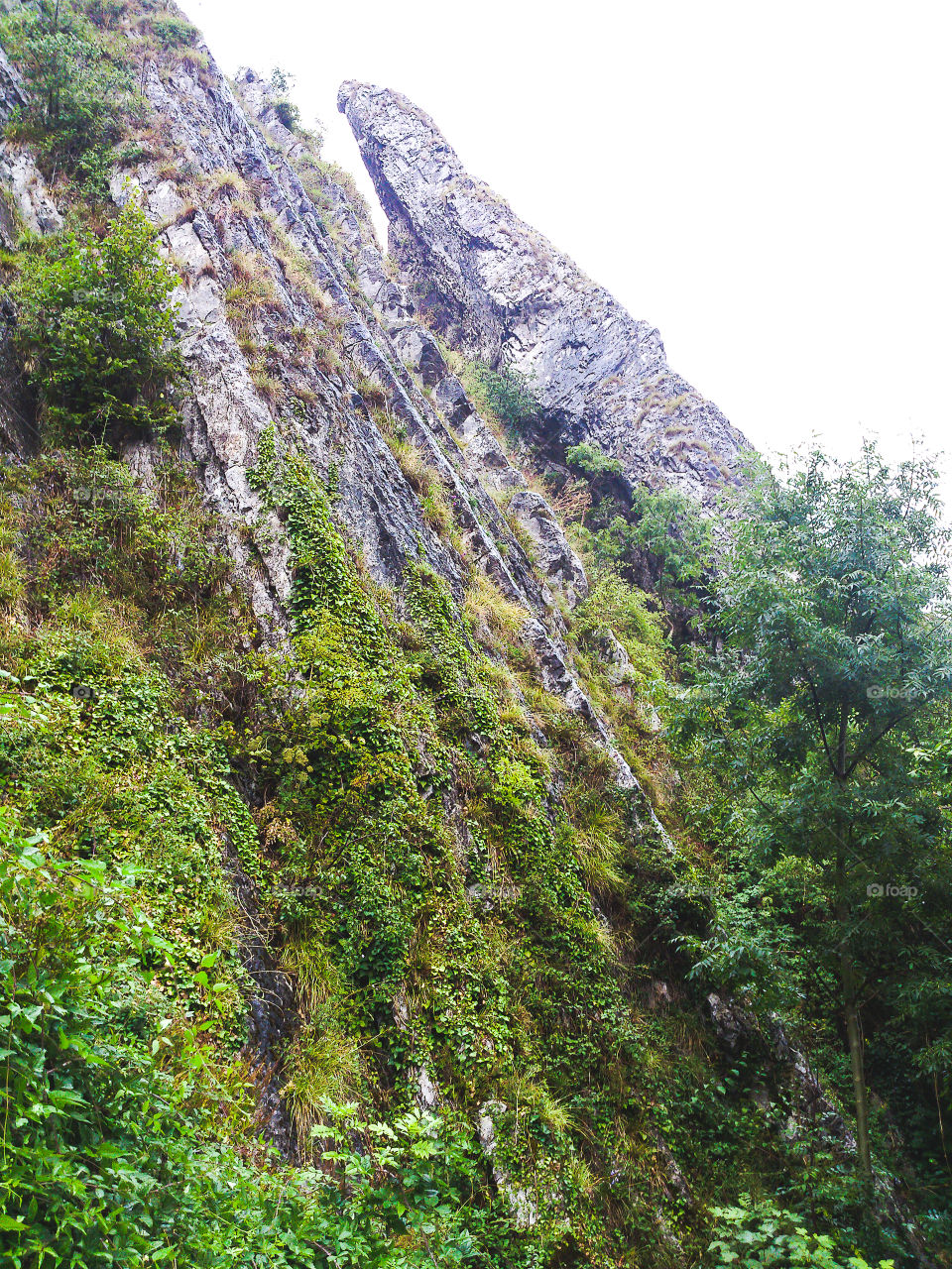 Nature, Landscape, Wood, Rock, Mountain