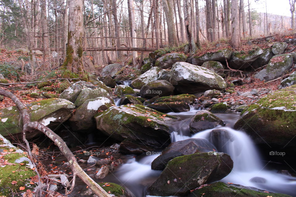 Roaring Forks stream and bridge 