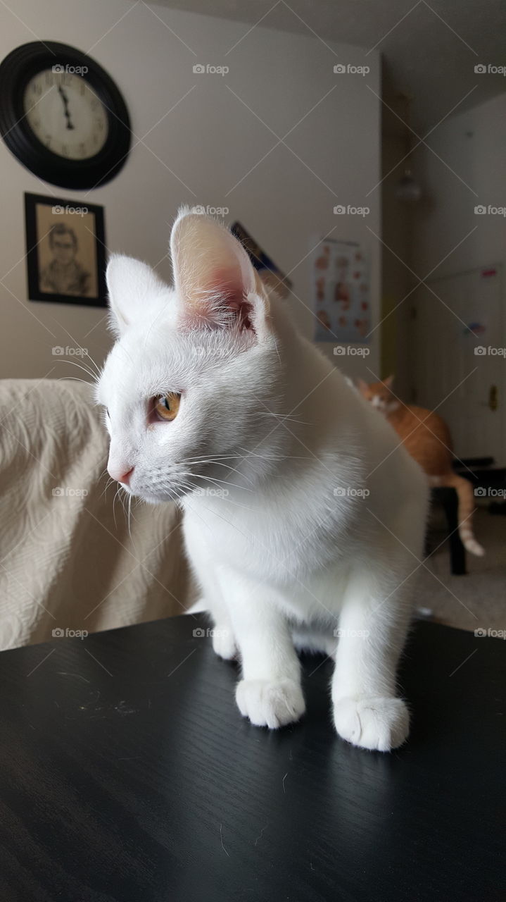 Enjoying the weekend